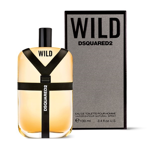 ادو تویلت مردانه دیسکوارد مدل Wild حجم 100 میلی لیتر