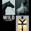ادو تویلت مردانه دیسکوارد مدل Wild حجم 100 میلی لیتر