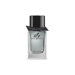 ادو تویلت مردانه بربری مدل Mr Burberry حجم 100 میلی لیتر