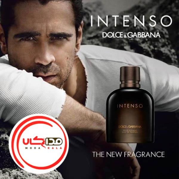 عطر ادکلن دی اند جی دلچه گابانا پور هوم اینتنسو | Dolce Gabbana Pour Homme Intenso
