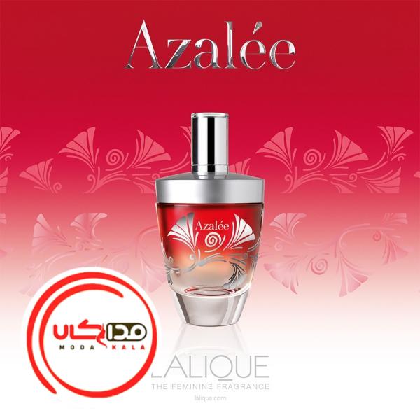 عطر ادکلن لالیک آزالی | Lalique Azalee