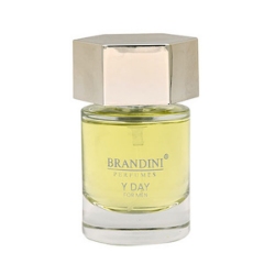 عطر جیبی مردانه برندینی مدل وای دی حجم 25 میلی لیتر