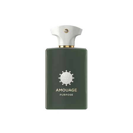 عطر آمواژ  پورپوز پرفیوم حجم 100 میلی لیتر